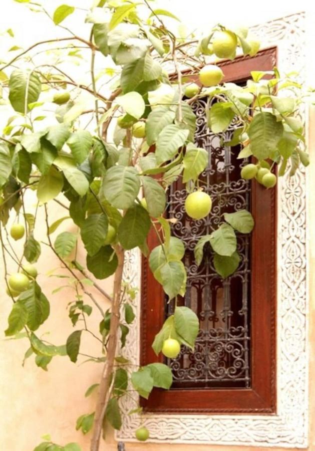 Riad Dar Rania Marrakech Medina Jemaa El Fna 마라케시 외부 사진